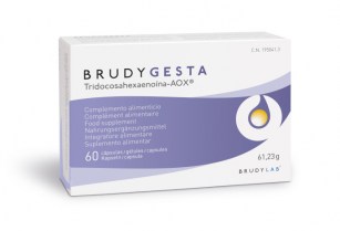 Brudy Gesta